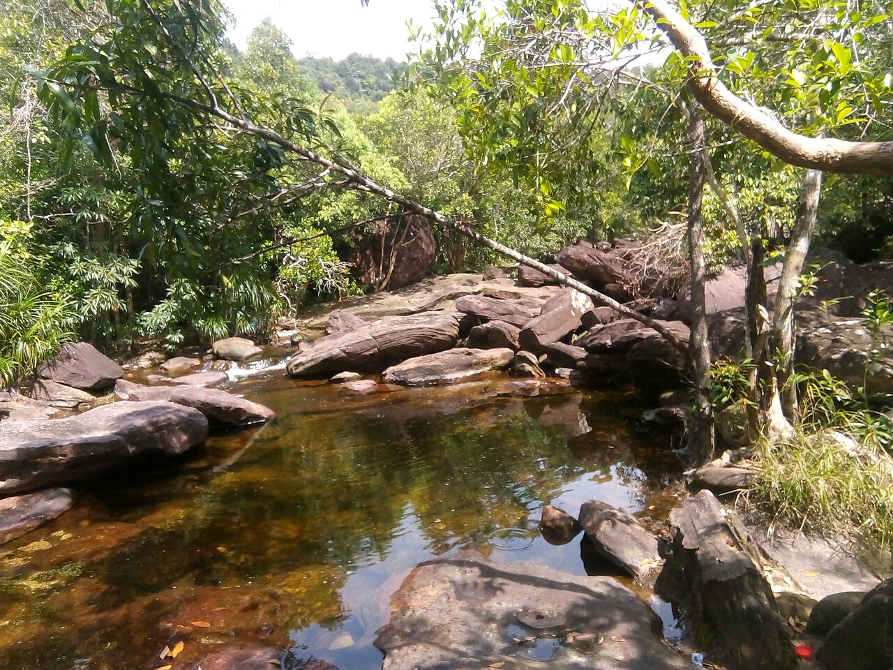 Ảnh minh họa Phú Quốc