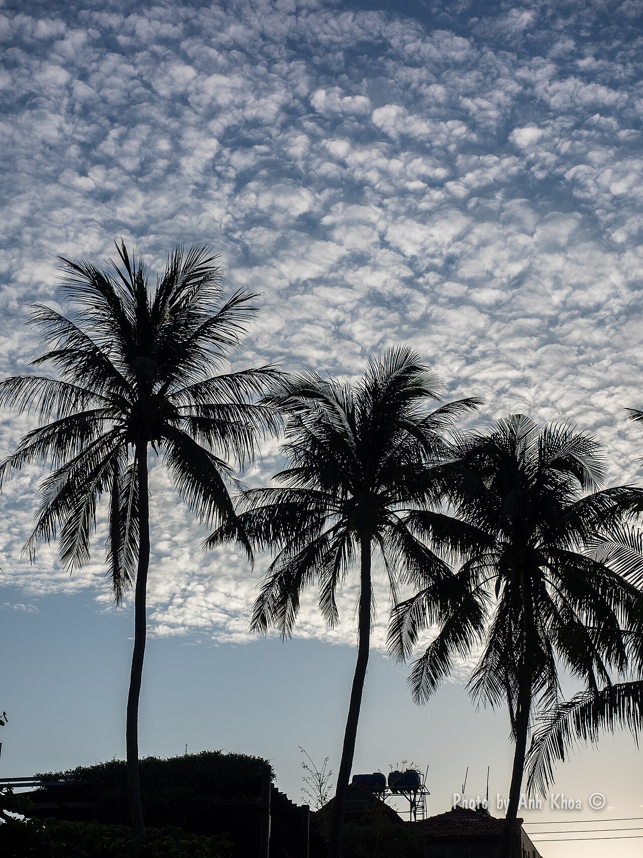 Ảnh minh họa Phú Quốc