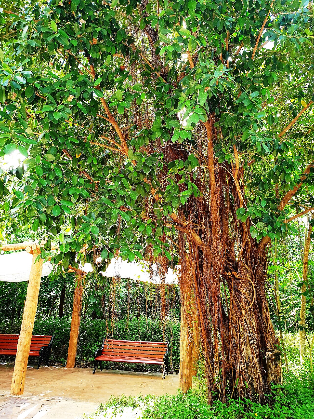 Ảnh minh họa Phú Quốc