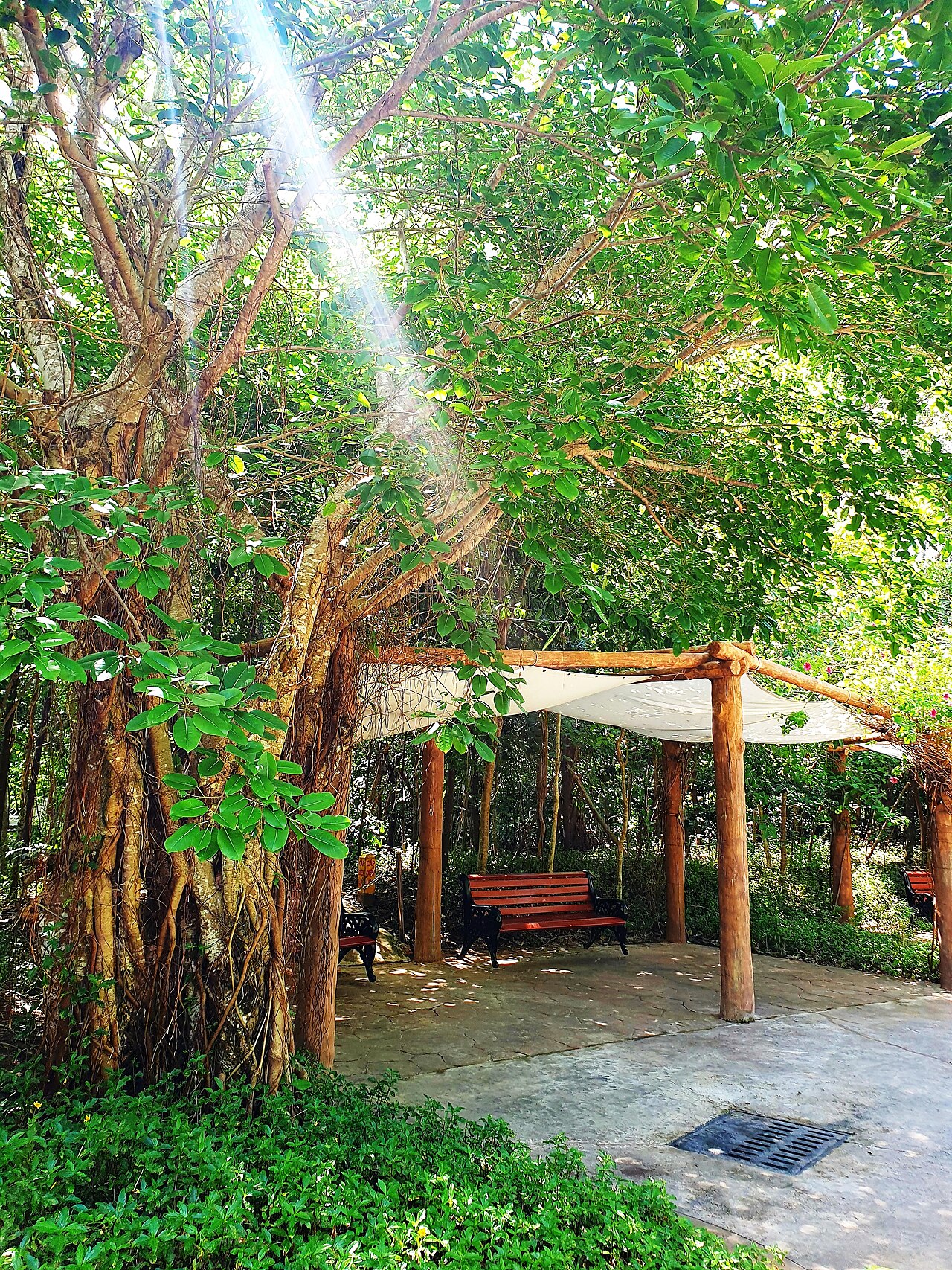 Ảnh minh họa Phú Quốc