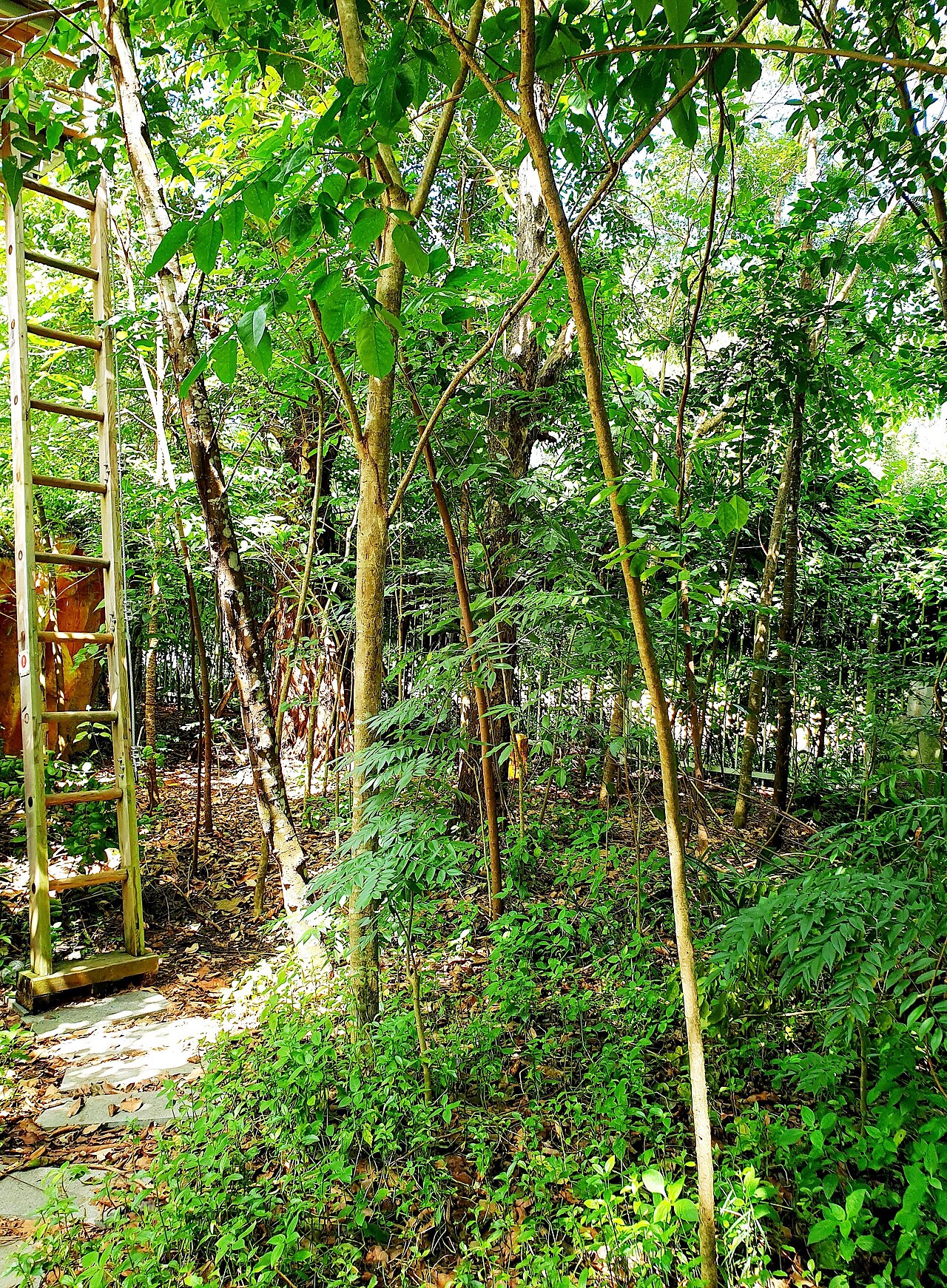 Ảnh minh họa Phú Quốc