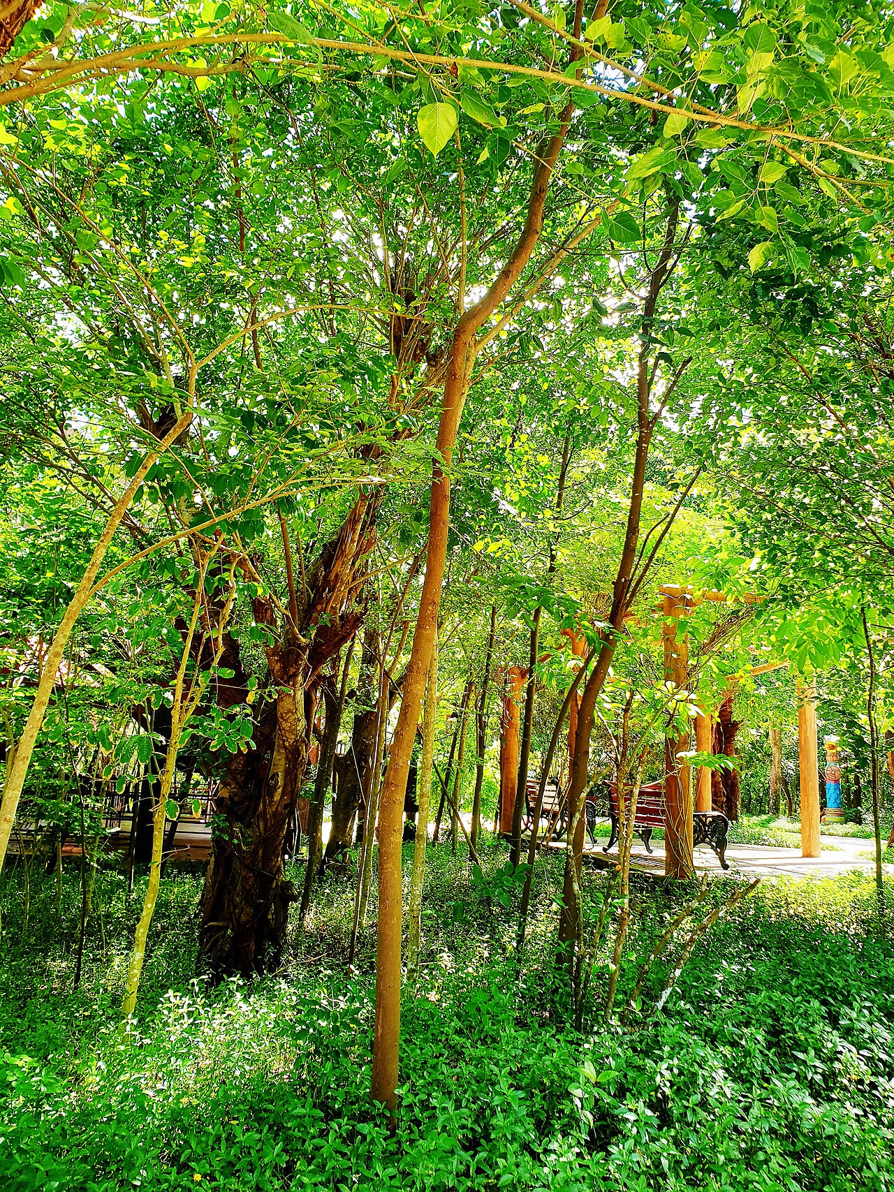 Ảnh minh họa Phú Quốc