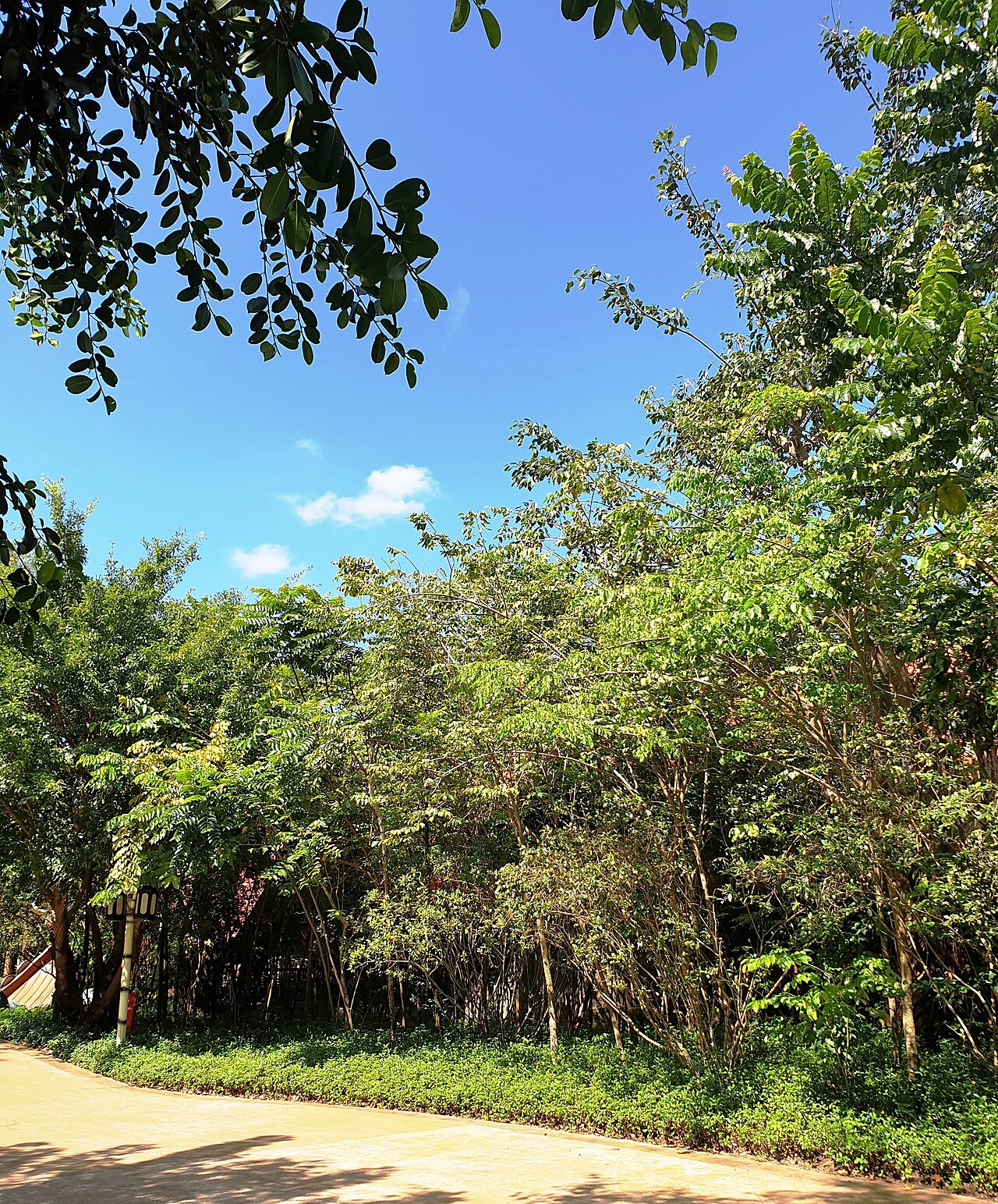Ảnh minh họa Phú Quốc