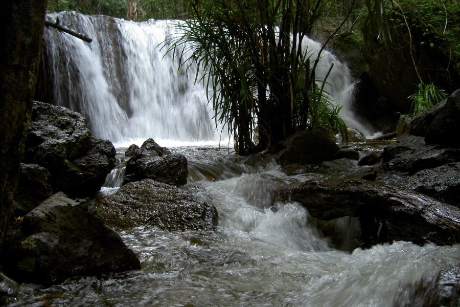 Suối Tranh Phú Quốc - dòng suối trong rừng